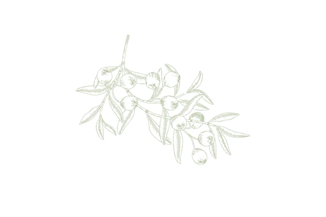 Gdzie kupić dobre oliwki? Odkryj najlepsze miejsca i smaki