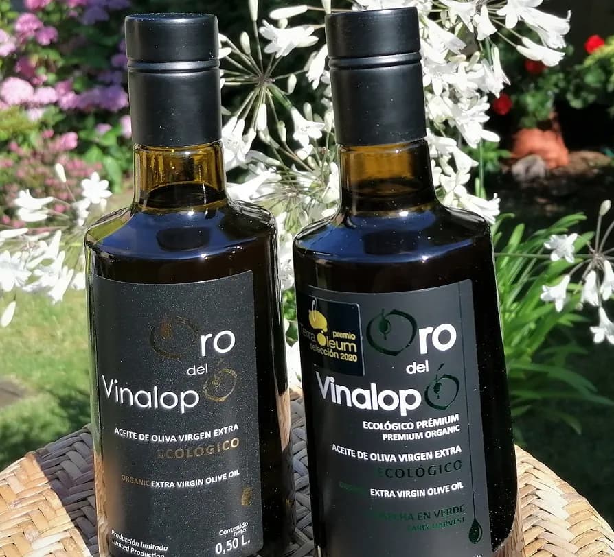 Najlepsza oliwa z oliwek - wybierz zdrowie i smak w kuchni