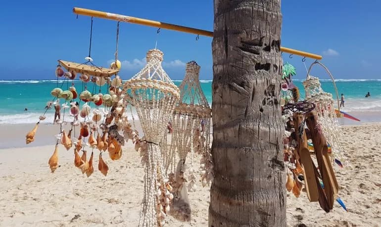 Czy można przywieźć muszelki z Hiszpanii? Sprawdź ważne przepisy